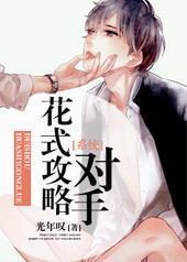 ��ʽ���Զ���[ϵͳ]