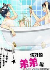 ˵�õĵܵ���