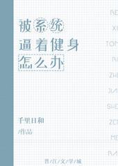 ��ϵͳ���Ž�����ô��