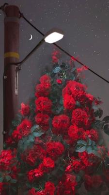 ��Ϣ