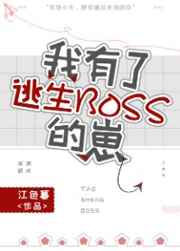 ����������BOSS����