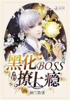 �촩���ڻ�BOSS�������