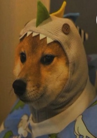 ����Ե��㣨h��