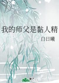 �ҵ�ʦ������˾�