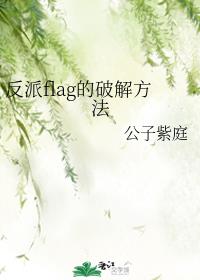 ����flag���ƽⷽ��