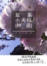 ��ϵС����[����]