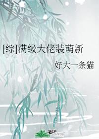 [��]��������װ����