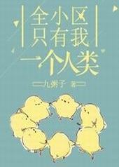 ȫС��ֻ����һ������