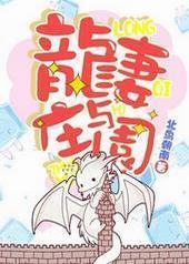 ������ׯ԰[ϵͳ]