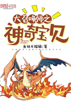 ���ٻ�ʦ֮���汦��