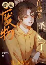 ������������װ����СƯ��