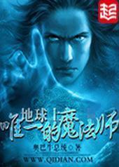 ������Ψһ��ħ��ʦ