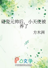 ����Ԫ˧��С��ʹ������