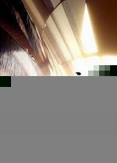 ����֮����