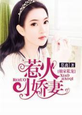 ����˽�裺�ǻ�С����