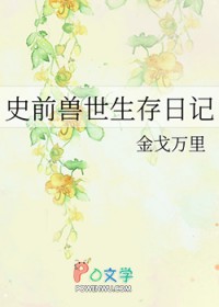 ʷǰ���������ռ�